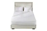 Dreamz Waterproof Antibacterial Mattress Protector Double