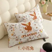 在飛比找鮮拾優惠-【PLAYBOY】 珠光棉石墨烯羽絲絨舒眠枕2入(正版授權/