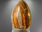 74mm 255Grams "Hand-Selected"~Madagascar Petrified Wood Crystal EASTER EGG N1395