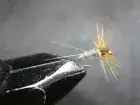 1 DOZEN DRY FLIES ADAMS VARIANT FOR FLY FISHING--SEC 28