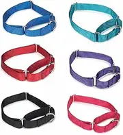 Gaurdian Gear Bulk Lot Martingale Dog Collars at Wholesale Prices Nylon Collar Multi Packs(Assorted - 10 to 16 Inch of Each (80 Collars))