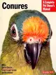 Conures ─ Everything About Purchase, Care, Nutrition, and Behavior