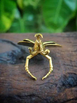 Flying Rhino Beetle Ring in Brass With White Enamel Wings. Adjustable Size.