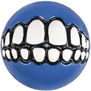 Fetch Treat Dispensing Ball Dog Toy Blue Large