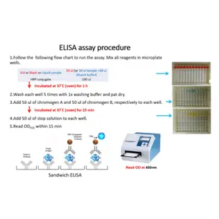 【科研白小兔】ELISA試劑盒 1667 FISH lactate 斑馬魚 ELISA 試劑盒 魚類通用 科研 實驗