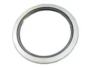 P/N 70001119 - NEW JLG OEM LIP SEAL