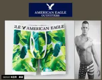 在飛比找Yahoo!奇摩拍賣優惠-有型男~ AE American Eagle VS CK內褲