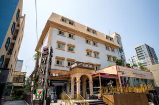 濟州島蓋亞觀光酒店Jeju Gaia Tourist Hotel