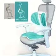 Ergonomic Lumbar Support Cushion – Fatigue Relief, back support
