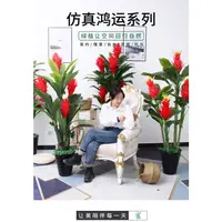 在飛比找蝦皮購物優惠-【室內造景/仿真綠植】仿真綠植盆栽大型發財樹盆景客廳鴻運當頭