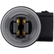 Dorman 645-125 Tail Lamp Bulb Socket (for: Ford)