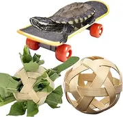 Turtle Treat Ball, Turtle Feeding Ball, Fruit and Vegetable Holder with Training Skateboard | 2 Treat Balls, Turtle Enrichment Toys for Tortoise Turtle