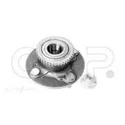 GSP Wheel Hub Assembly - 228026K