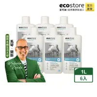 在飛比找momo購物網優惠-【ecostore 宜可誠】超濃縮環保洗衣精-1Lx6入 抗