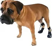 WALKABOUT™ Toe'sUP No Knuckling Boot Brace for Dogs Dragging Paws | Corrective Dog Shoes to Safely Lift Toes