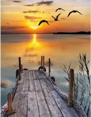 BERYART DIY Oil Painting, Paint by Number Kits on Canvas, Painting for Adults...