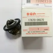 Suzuki Genuine Water Thermostat - SV650 K8-12 SFV650 09-15 (17670-06G70-000)