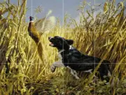 spaniel dog pheasant hunting bird country western ceramic tile mural backsplash