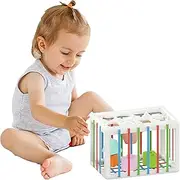 Baby Shape Sorting Toys - montesori Learning Toys, Baby Sensory | todlers montesori Shape Blocks Developmental Sorting, Sensory Bin Toy with Balls, Early Educational todlers Birthday giftts