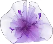 [TEMPNAP] Fascinator Women Hair Clip with Mesh Veil Vintage Bridal Headwear for Tea Parties Cocktail Events and Cosplay Elegant Headband Accessory for Unique Style