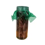 Cinnamon Palm Wax Astral Candle