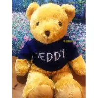 在飛比找momo購物網優惠-【TEDDY HOUSE泰迪熊】泰迪熊玩具玩偶公仔絨毛娃娃毛