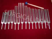 Human Organ Therapeutic Healing 15 Tuning forks with FREE Mallet & Pouch