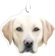 Spoontiques Yellow Lab Labrador Retriever Air Freshener (3-Pack)