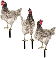 BEBEMOKO Garden Stake Decor Acrylic Chicken Outdoor Yard Art for Garden Decor Chicken Yard Sign
