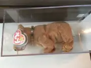 Rare Retired Beanie Baby "Pecan" Bear MWMT Museum Quality