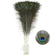 Long Peacock Feathers Bulk- 25pcs 32-35 inches Feathers for Vase, Holiday Dec...