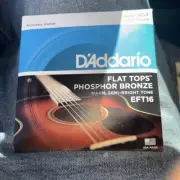 D'Addario EFT16 Flat Tops Acoustic Guitar Strings Light 12-53 New Free Shipping
