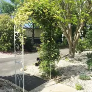 Ornate Metal Garden Arch - Distressed Cream