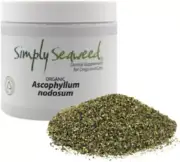 Simply Seaweed Dog Dental Care 40g