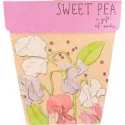 Sow 'n Sow Gift of Seeds Sweet Pea