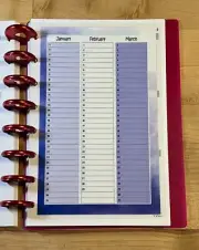 Set of 2 (Two) Month at a Glance DASHBOARD 4 USE w/ TUL/Arc (8 disc) Planner-