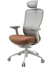 [UFOU] Ergonomic Office Chair Mesh Computer Gaming Designer in Lion