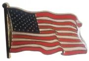 Pack of 6 USA United States of America Waving Flag II Hat Cap Lapel Pin