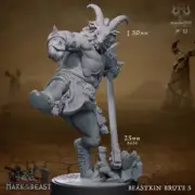 Beastkin Brute 5 | DnD Miniature | TTRPG Miniature