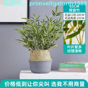 假樹 假植物 琴葉榕 綠植 仿真植物竹子室內裝飾盆栽擺件大型觀音竹中式隔斷落地造景假綠植