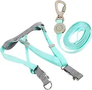 Sosoport Double D-Ring Dog Harness Leash Small Dog Harness Adjustable for Outdoor Adventures