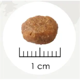耐吉斯 源野高蛋白無穀系列 全齡犬 鮭魚配方-16lb (7.2kg) X 1包