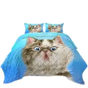 Cats Cute Faces Drawings Grey White Kitten Coverlet