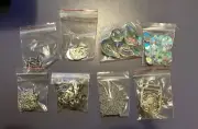 Suncatcher Maker Kit