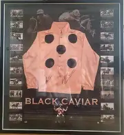 Sprinter Black Caviar Collectors LIMITED EDITION signed by Nolan & Moody