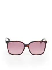 Red Havana Square Frame Sunglasses