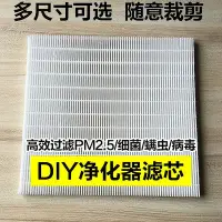 在飛比找Yahoo!奇摩拍賣優惠-自制空氣凈化器高效HEPA過濾網DIY濾芯除PM2.5霧霾家