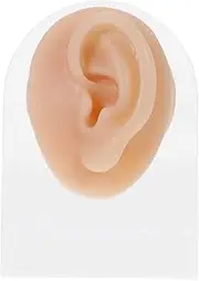 SEWOART Earring Display Model Ear Piercing Practice Tool Fake Body Parts Ear Jewelry Display