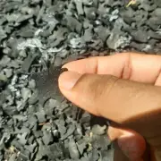 Coconut Shell Activated Charcoal Real Pure Organic Natural Ceylon Black Chips