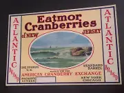 Golden Rod Cranberries Crate Barrel Label New Jersey 10" X 7" American Exchange